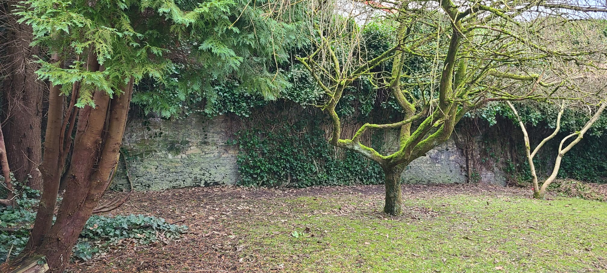 Vine House Garden Image 05